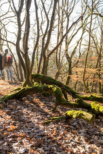 Kaltbachtal mit Blick auf Nassau
