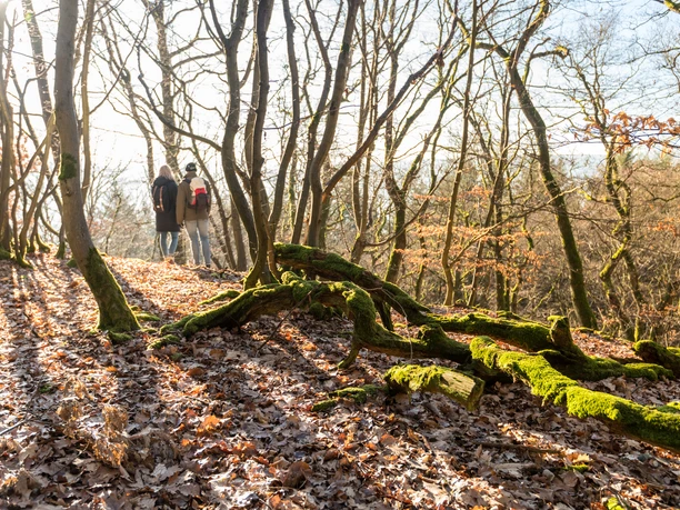 Kaltbachtal mit Blick auf Nassau