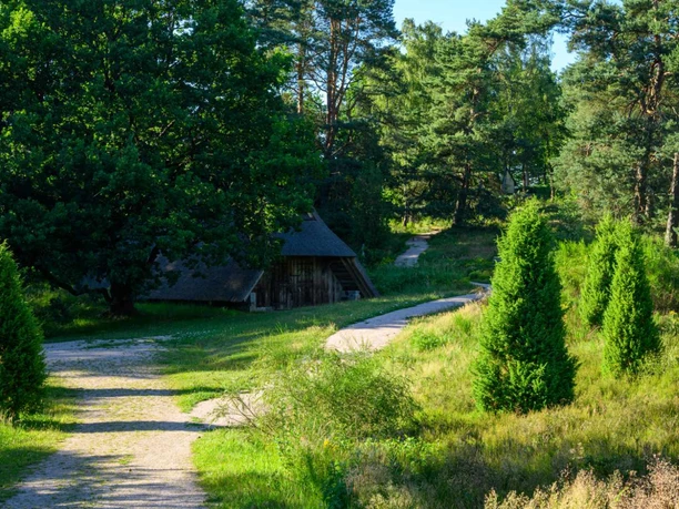 bispinger-heidepark-schafstall.jpg Schafstall am Heideweg im Bispinger Heidepark, umgeben von Wacholdern und Kiefern.