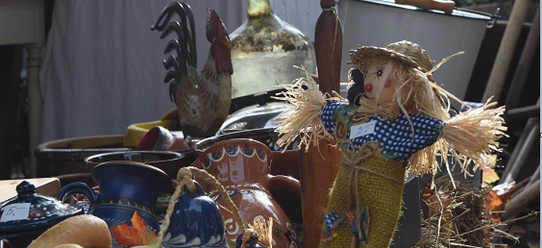 selected_cropmiddle_Bauernmakt.PNG