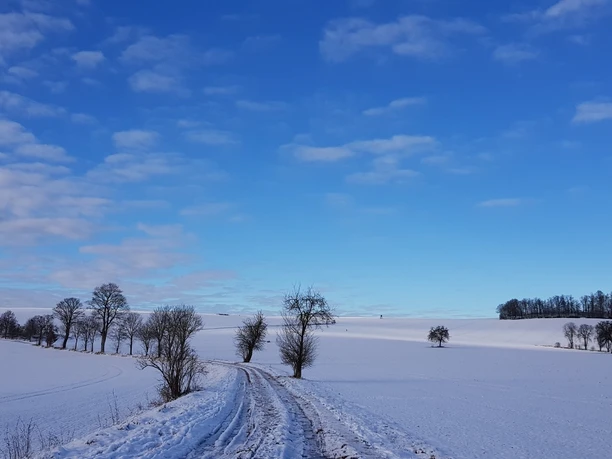 Panoramarundweg und Fernwanderweg Ostsee-Saaletalsperren - zwischen Hohenfichte und Augustusburg Panoramarundweg und Fernwanderweg Ostsee-Saaletalsperren - zwischen Hohenfichte und Augustusburg