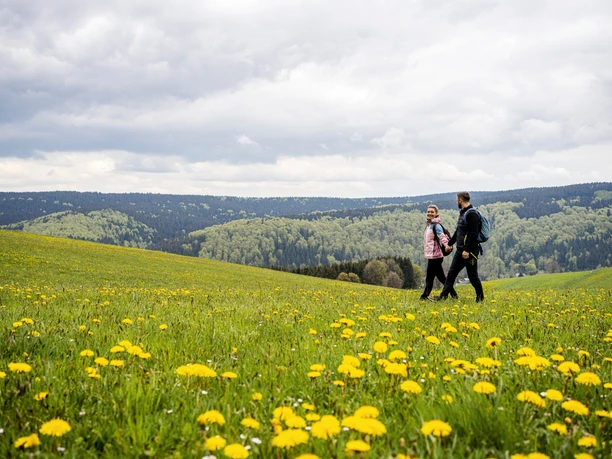 oberhalb von Holzhau oberhalb von Holzhau