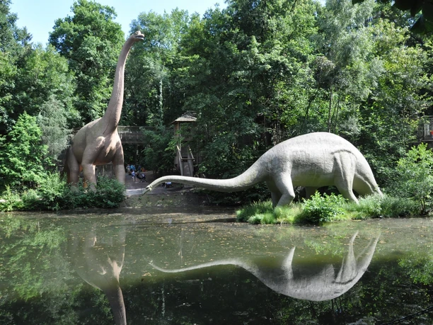 Brachio und Diplodocus - Giganten im Saurierpark Brachio und Diplodocus - Giganten im Saurierpark