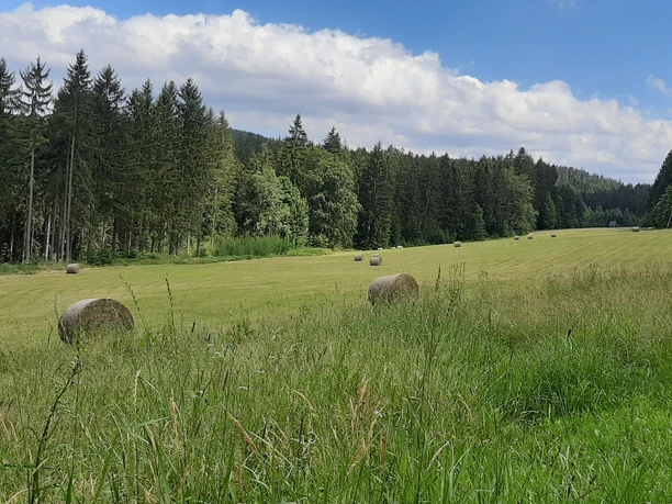 Am Hahnenhausweg Am Hahnenhausweg