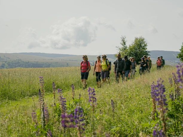 bei Oberwiesenthal bei Oberwiesenthal