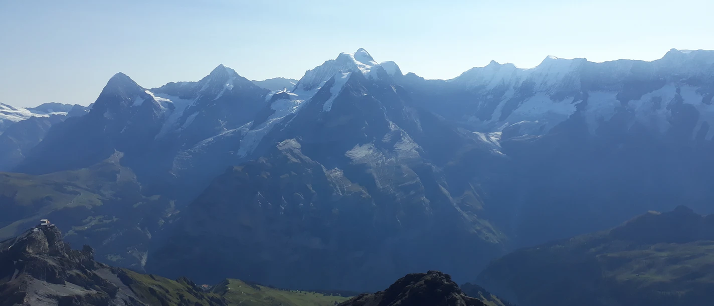 Bild Bild