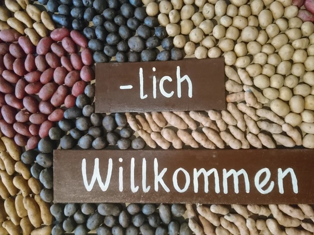 Bild Bild