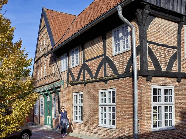 Vom Moor in die Geest