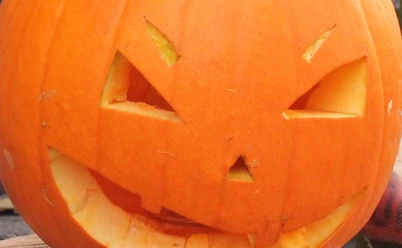 Halloween-Kürbis-Pro Herford GmbH.jpg