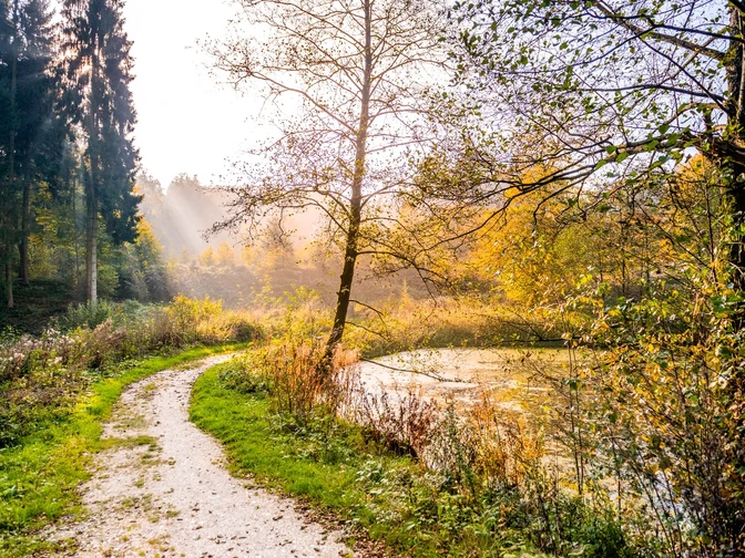 im Hesseltal Herbstlicher Waldweg entlang eines kleinen Sees mit leuchtendem Laub und sanftem Sonnenlicht.