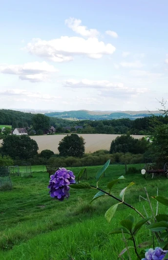 Landschaft in sanften Hügeln mit lila Blüten im Vordergrund, Felder und Wälder im Hintergrund.
