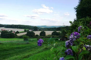 Blick in die Ascheloher Schweiz Landschaft in sanften Hügeln mit lila Blüten im Vordergrund, Felder und Wälder im Hintergrund.