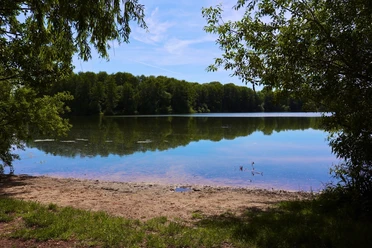 Verler See Ein idyllischer See, umgeben von Bäumen, spiegelt den klaren blauen Himmel an einem sonnigen Tag.