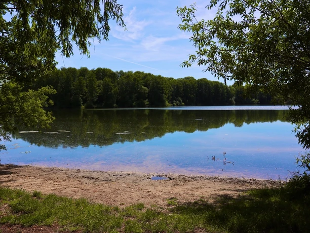 Verler See Ein idyllischer See, umgeben von Bäumen, spiegelt den klaren blauen Himmel an einem sonnigen Tag.