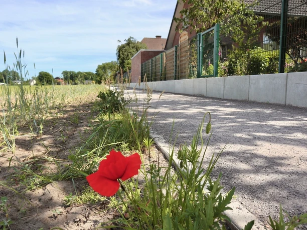 Wanderweg am Siedlungsrand Roter Mohn blüht am Rand eines asphaltierten Weges, der an einem eingezäunten Grundstück entlangführt.