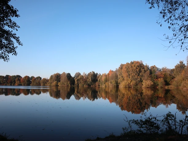 Ein ruhiger See mit blauem Himmel spiegelt die umliegenden Bäume in herbstlichen Farben wider.