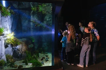 02_OZEANEUM_Taschenlampenführung_Foto Anke Neumeister_DMM