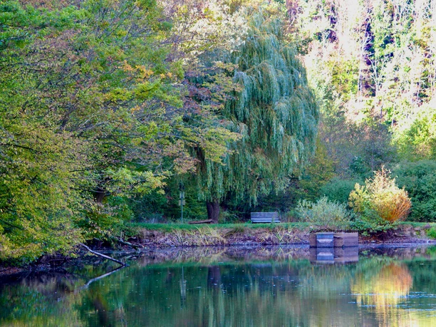 Schnepfenbachweiher im Herbst Schnepfenbachweiher im Herbst