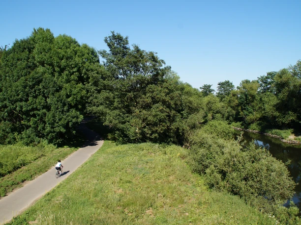 Radweg an der Sieg Radfahrer auf einem schmalen Weg neben einem ruhigen Fluss, umgeben von üppigem Grün und Bäumen.