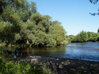 Agger-Sieg-Mündung Ruhiger Flusslauf inmitten üppiger grüner Landschaft unter klarem blauen Himmel und dichtem Baumwerk.