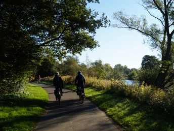 Radweg an der Sieg Zwei Radfahrer fahren auf einem schattigen Waldweg entlang eines Flusses an einem sonnigen Tag.