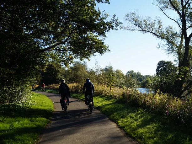 Radweg an der Sieg Zwei Radfahrer fahren auf einem schattigen Waldweg entlang eines Flusses an einem sonnigen Tag.