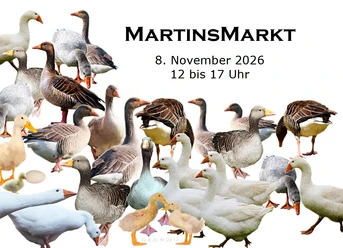 Bild Martinsmarkt.png
