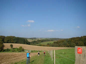 Ausblicke am Bauernhofweg Wanderer gehen über einen grünen Hügelweg mit weitem Blick auf Felder und bewaldete Landschaft.