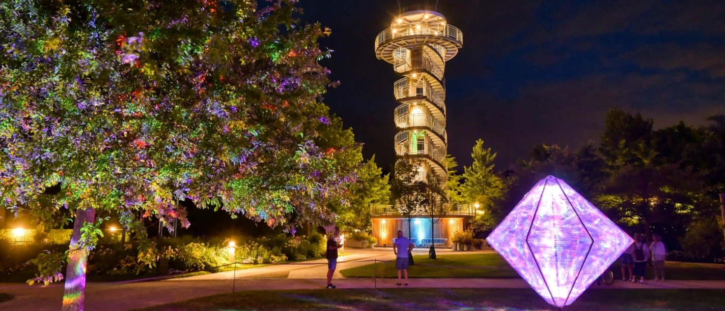 Hans_Juergen_Zietz_Illumination_2026_01.png Hans_Juergen_Zietz_Illumination_2026_01.png