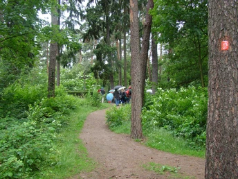 Waldweg Ein Wanderweg führt durch einen dichten, grünen Wald. Eine Gruppe von Menschen mit Regenschirmen steht im Hintergrund auf dem Pfad.