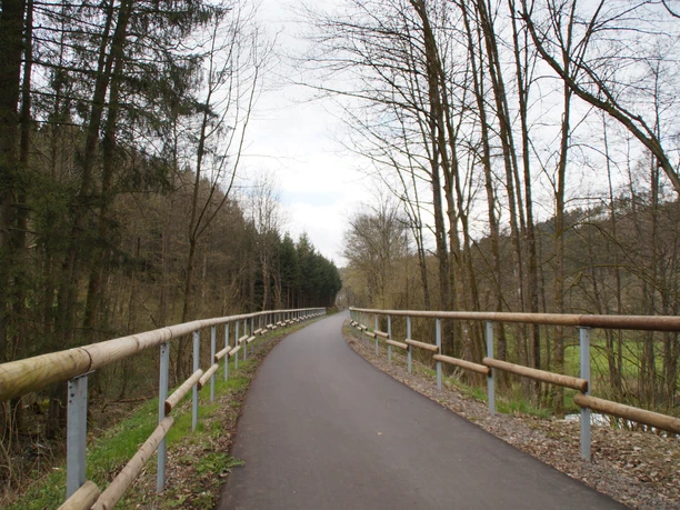 Panorama-Radweg in Wiedenest Ein asphaltierter Radweg führt durch eine bewaldete Landschaft mit kahlen Bäumen an einem bewölkten Tag.
