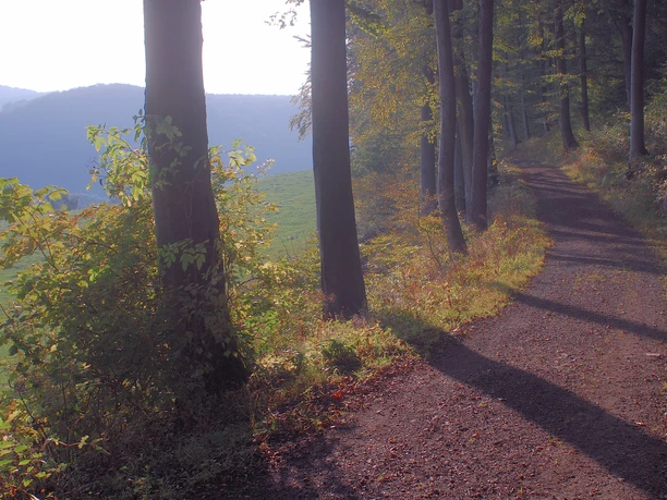 Sachsenring im Herbst.JPG Sachsenring im Herbst.JPG
