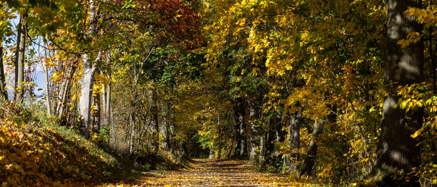 pexels-toni-seyfert-785961629-34481191.jpg pexels-toni-seyfert-785961629-34481191.jpg