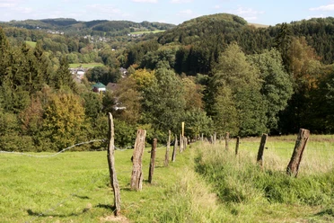 Wiesenpfad hinter Blumenau Ländliche Hügellandschaft mit Wäldern und Wiesen, ein Dorf liegt im Tal, Holzpfosten markieren einen Weg.