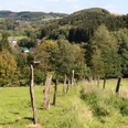 Wiesenpfad hinter Blumenau Ländliche Hügellandschaft mit Wäldern und Wiesen, ein Dorf liegt im Tal, Holzpfosten markieren einen Weg.
