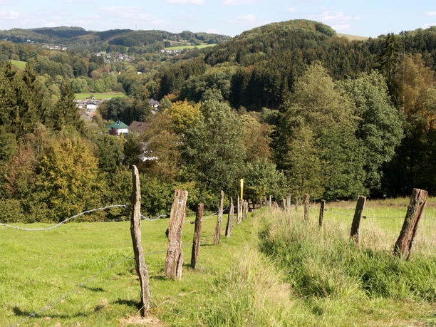 Wiesenpfad hinter Blumenau Ländliche Hügellandschaft mit Wäldern und Wiesen, ein Dorf liegt im Tal, Holzpfosten markieren einen Weg.