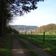 Bergischer Panoramasteig kurz vor Feckelsberg Ein schmaler Weg führt durch eine ländliche Landschaft mit Hügeln, Wiesen und Bäumen, Richtung Dorf.