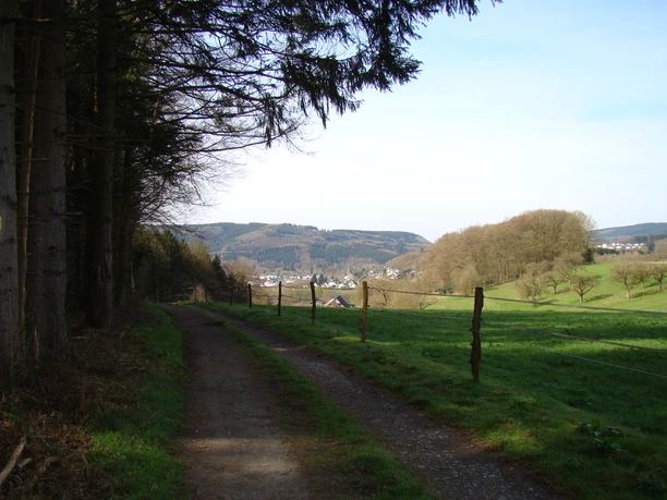 Bergischer Panoramasteig kurz vor Feckelsberg Ein schmaler Weg führt durch eine ländliche Landschaft mit Hügeln, Wiesen und Bäumen, Richtung Dorf.