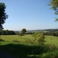 Ausblick am Panoramasteig bei Hochwald Weite grüne Wiesenlandschaft in Waldbröl unter blauem Himmel, vereinzelt Bäume und Wald im Hintergrund.