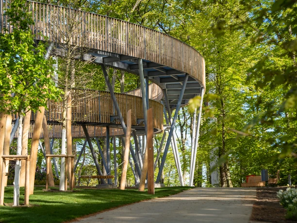 Waldtempel_Lennart_Schmidt Waldtempel_Lennart_Schmidt