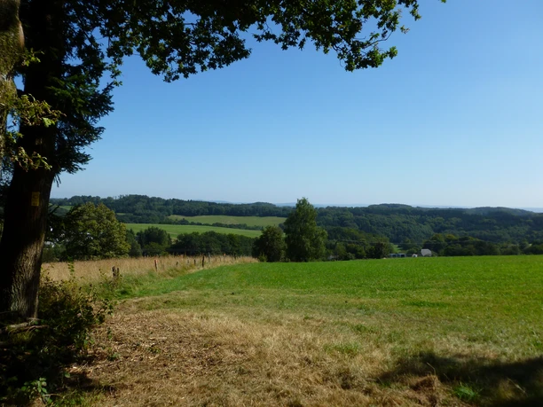 Panoramasteig bei Herfen Ländliche Landschaft mit grünen Wiesen, dichten Wäldern und sanften Hügeln unter klarem Himmel.