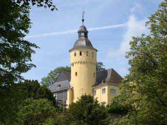 Schloss Homburg Gelbe Burg mit Rundturm und Zinnen vor bewaldetem Hintergrund, umgeben von blauem Himmel.