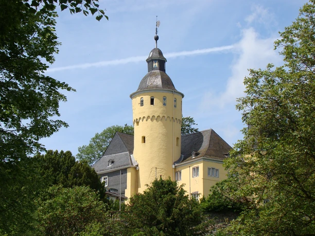 Schloss Homburg Gelbe Burg mit Rundturm und Zinnen vor bewaldetem Hintergrund, umgeben von blauem Himmel.