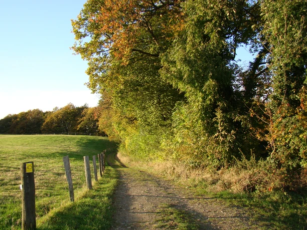 Bergischer Panoramasteig oberhalb des Freilichtmuseums Ein Schotterweg führt zwischen grünen Wiesen und herbstlich gefärbten Bäumen in die Ferne.
