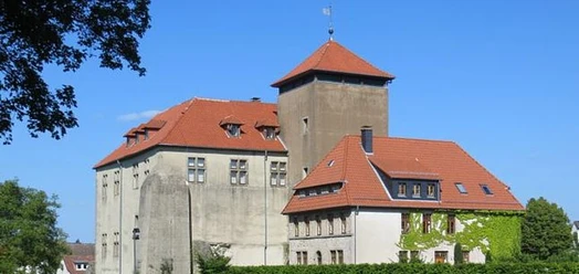 selected_csm_cropmiddle_Burg_Horn_0b6cf34246.jpg
