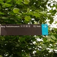 Wegweiser am Panoramasteig <p>Wegweiser zeigt Richtung Berg. Freilichtmuseum, Entfernung 0,1 km, umgeben von grünem Laub.</p>