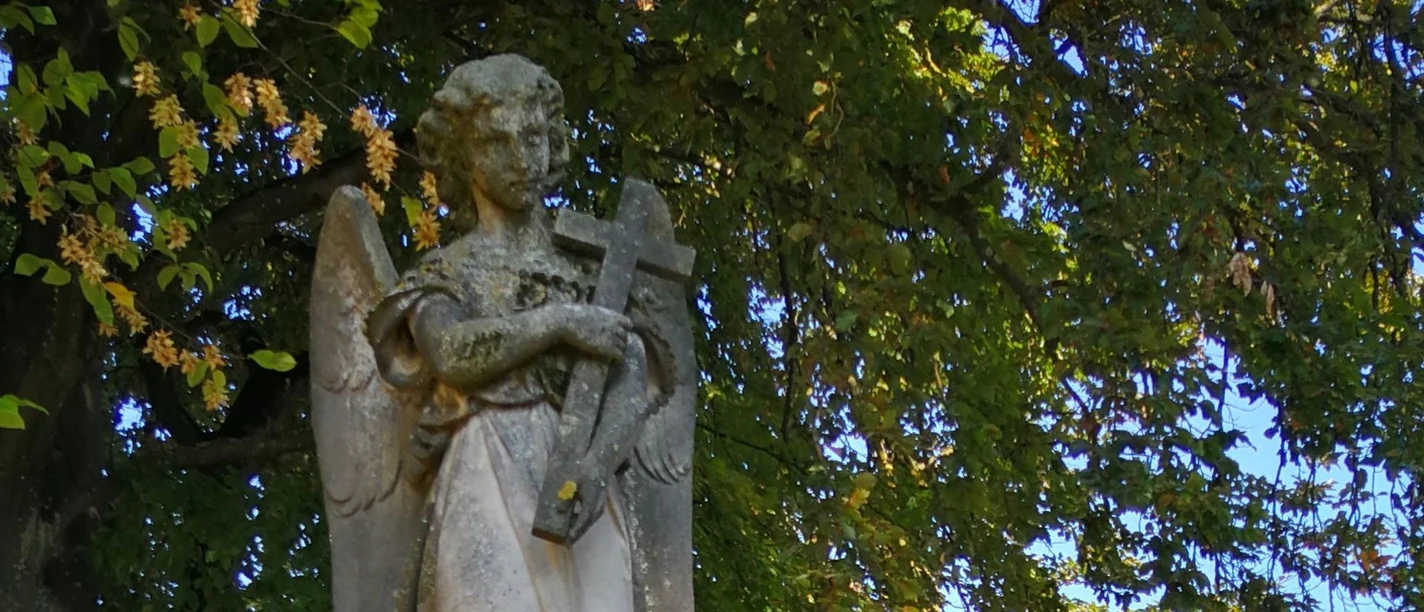 Ein Fiedhof erzählt - Führung Engelsstatue mit Kreuz unter alten Bäumen auf dem Friedhof Günzburg