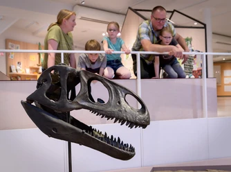 Raubsaurier_Museum-am-Schoelerberg-c-Hermann-Pentermann-min.jpg