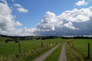 Bergischer Panoramasteig hinter Wipperfürth <p>Ein landwirtschaftlicher Weg führt durch grüne Wiesen, mit Kühen und einem bewölkten Himmel im Hintergrund.</p>