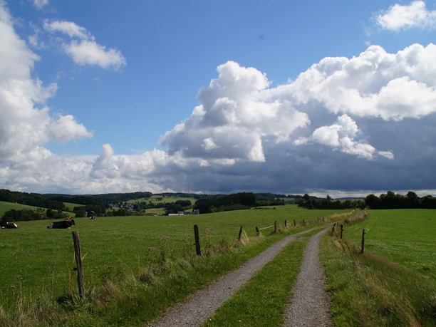 Bergischer Panoramasteig hinter Wipperfürth <p>Ein landwirtschaftlicher Weg führt durch grüne Wiesen, mit Kühen und einem bewölkten Himmel im Hintergrund.</p>